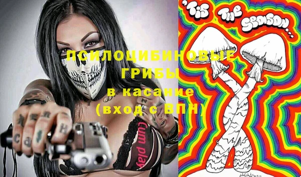 амф Осинники