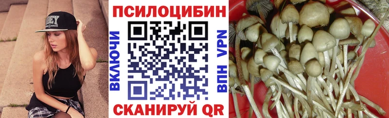 Галлюциногенные грибы Psilocybine cubensis  Балтийск 